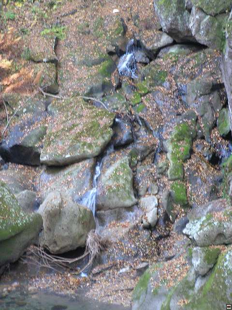 img00008.jpg