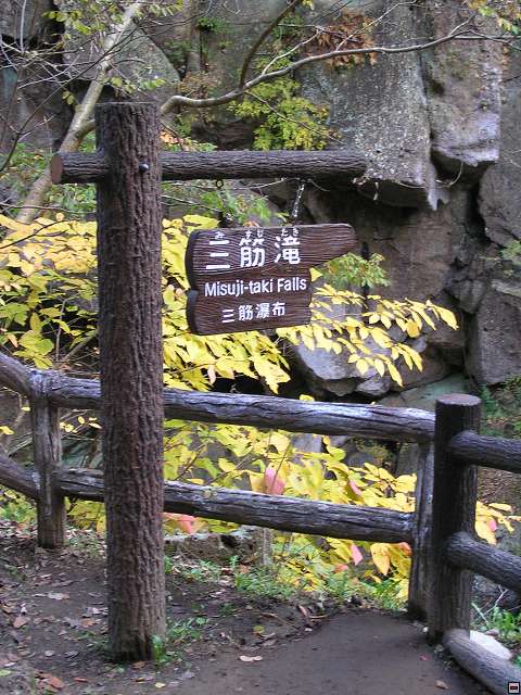 img00009.jpg