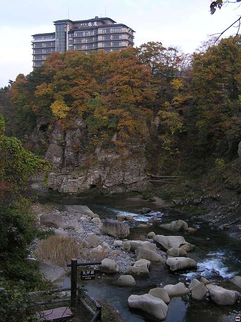 img00010.jpg