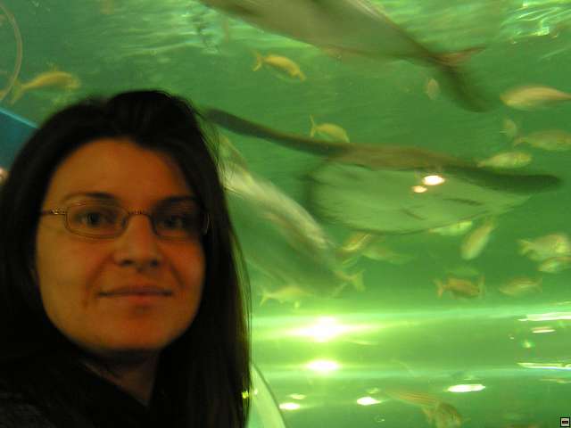 img00001.jpg