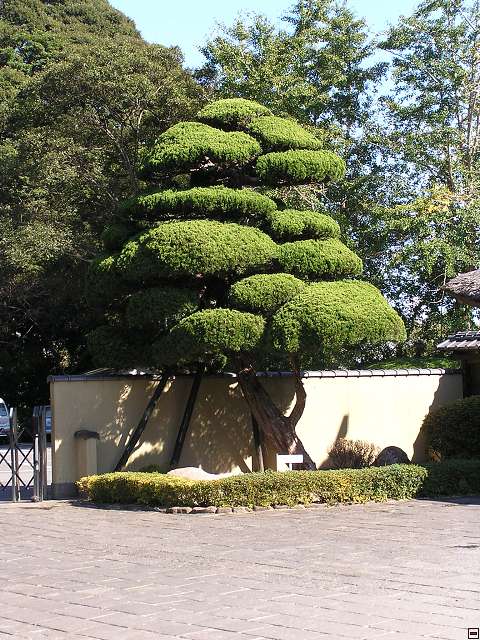 img00003.jpg