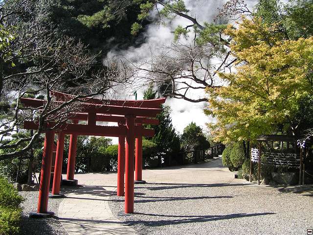 img00005.jpg