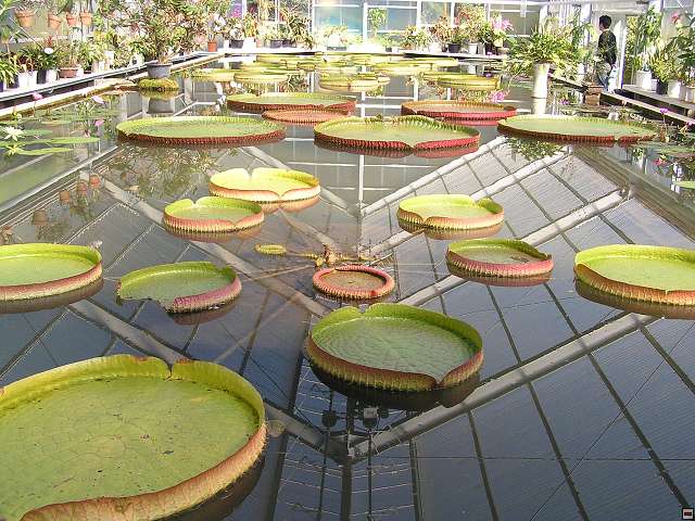 img00010.jpg