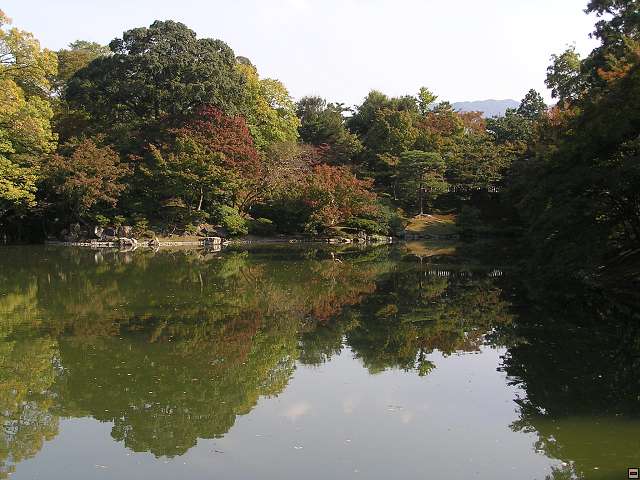 img00007.jpg