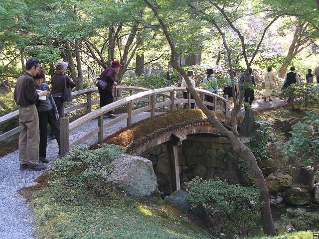 img00008.jpg