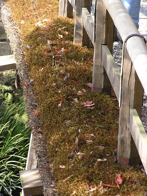 img00012.jpg
