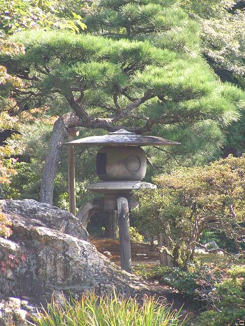 img00014.jpg