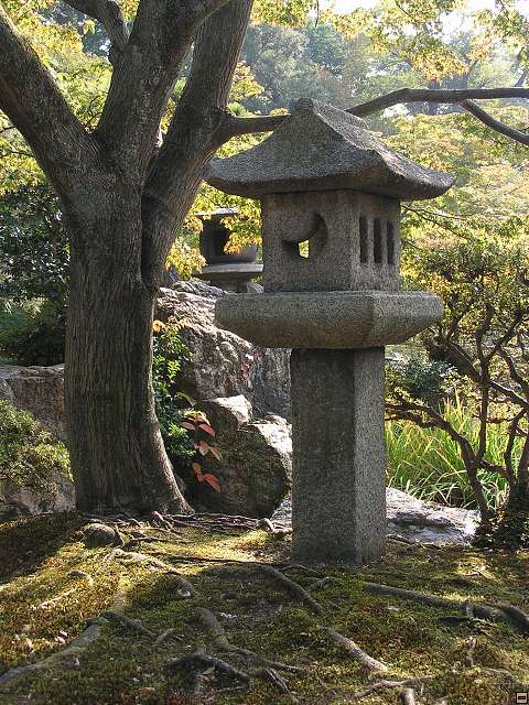 img00019.jpg