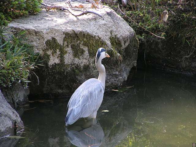 img00020.jpg
