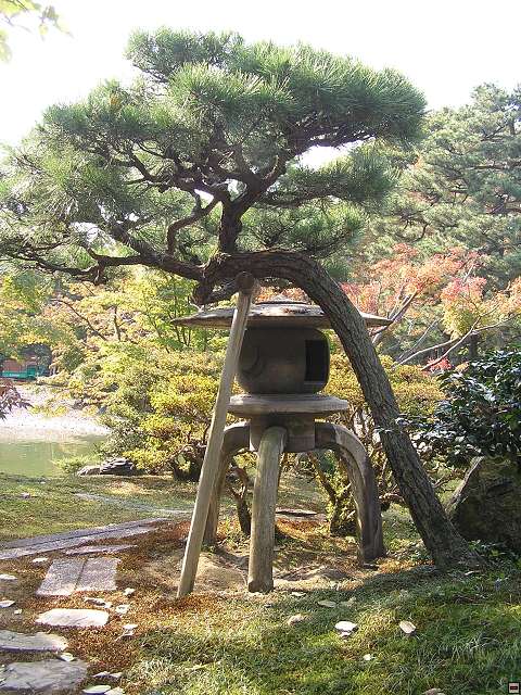 img00021.jpg