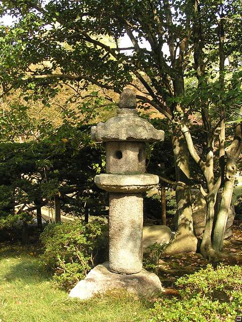 img00025.jpg