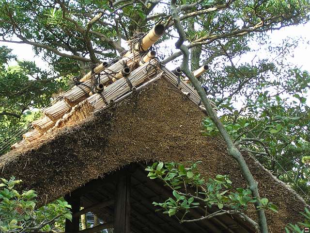 img00026.jpg