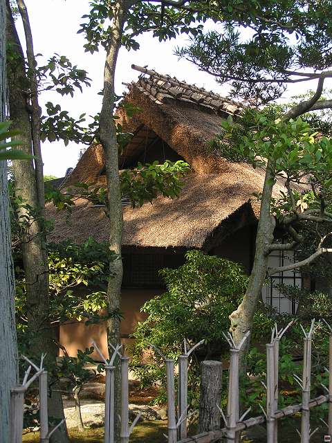 img00027.jpg