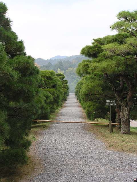 img00038.jpg