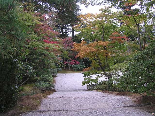 img00039.jpg