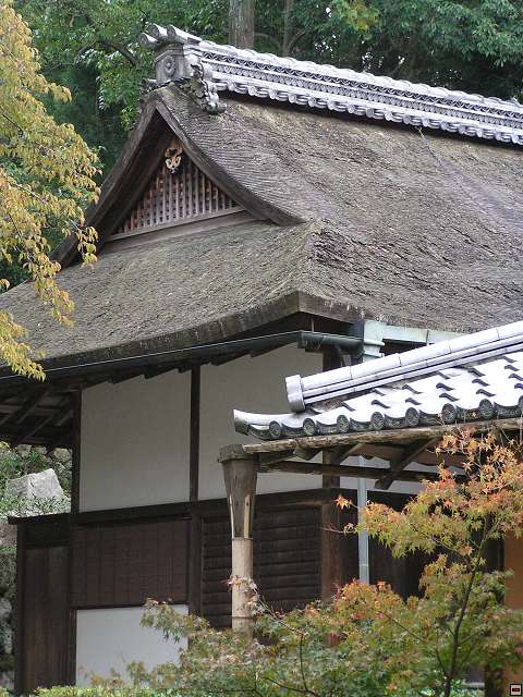 img00040.jpg