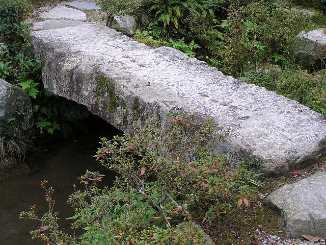 img00042.jpg