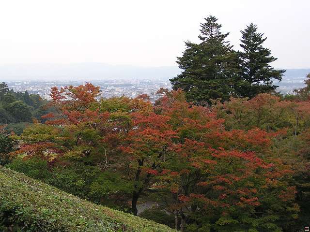 img00048.jpg