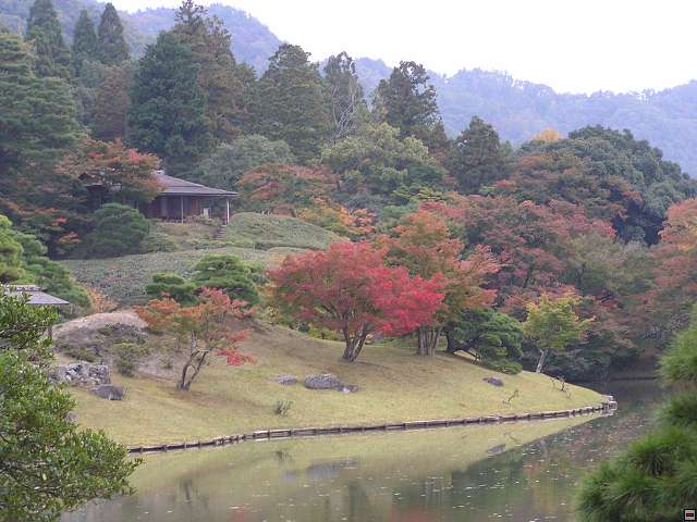 img00050.jpg
