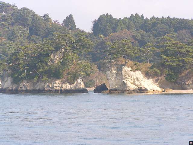img00005.jpg