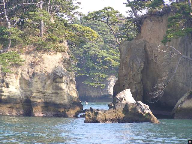 img00006.jpg