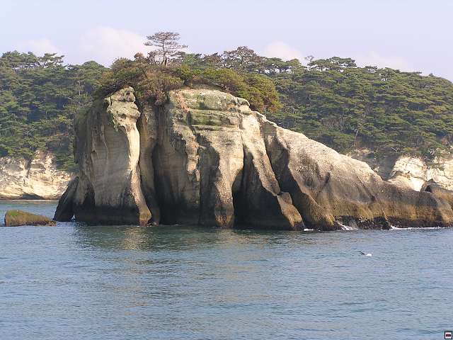img00008.jpg