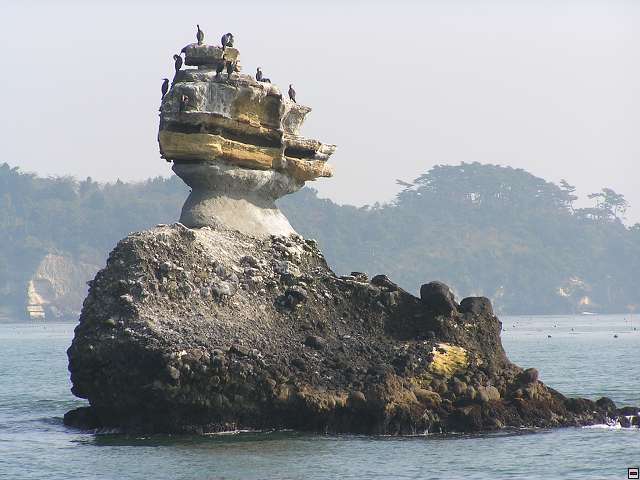 img00009.jpg