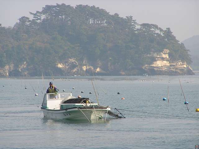 img00010.jpg