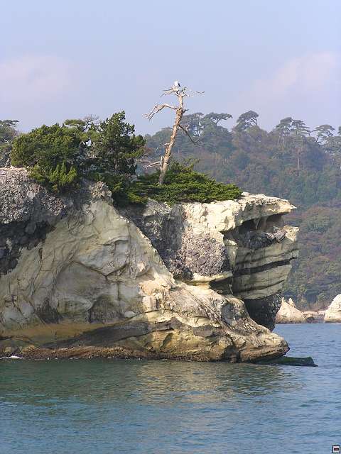 img00011.jpg