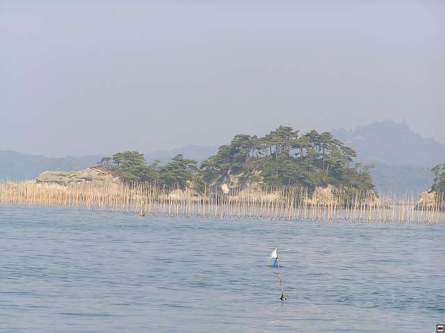img00013.jpg