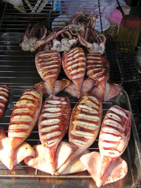 img00021.jpg