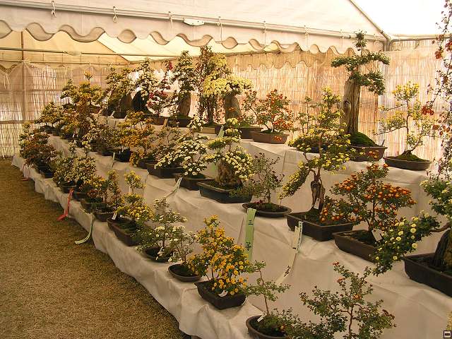 img00007.jpg