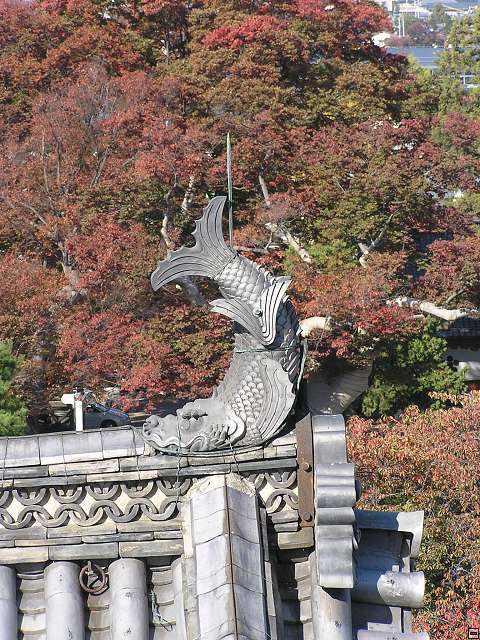 img00013.jpg