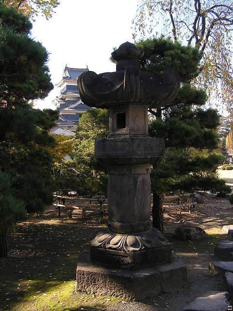 img00015.jpg
