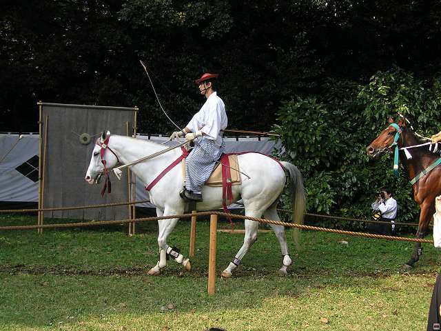 img00006.jpg
