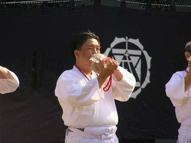 img00009.jpg