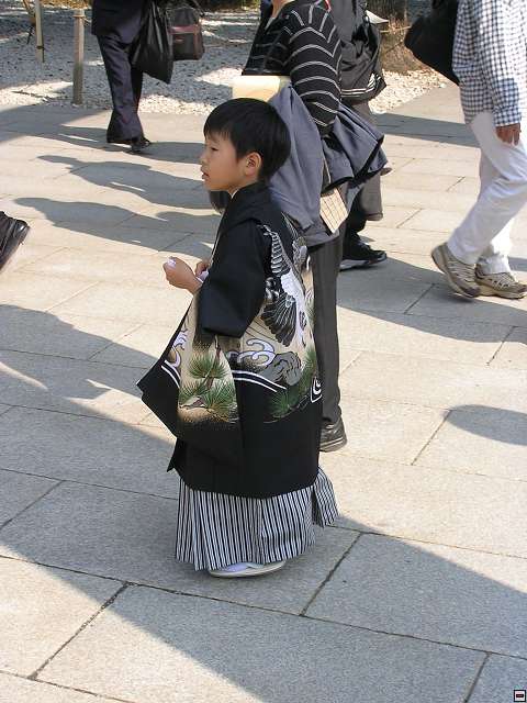 img00029.jpg