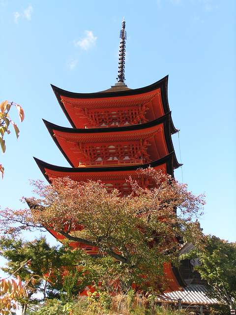 img00007.jpg