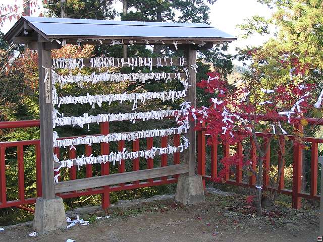 img00007.jpg