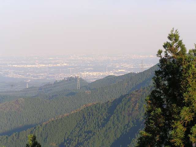 img00008.jpg