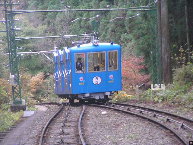 img00011.jpg