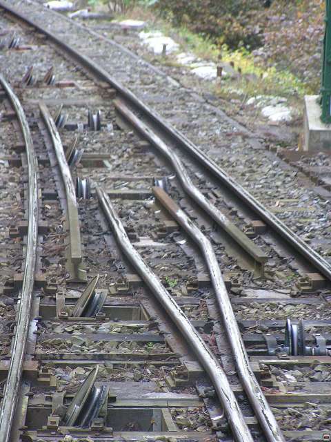 img00012.jpg