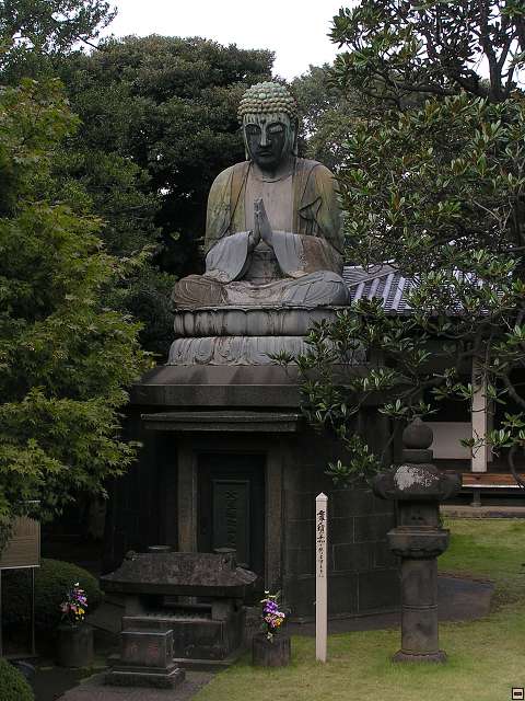img00001.jpg