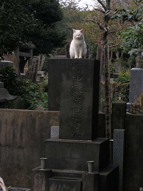 img00004.jpg