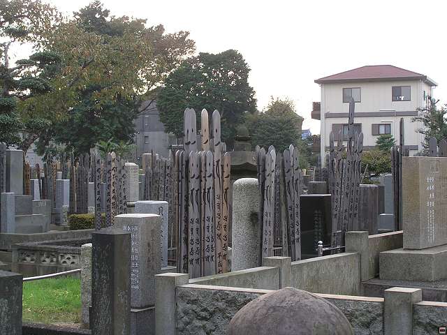 img00005.jpg