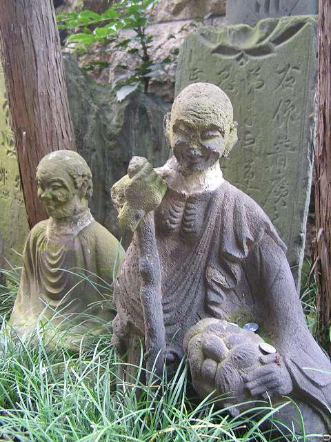 img00008.jpg