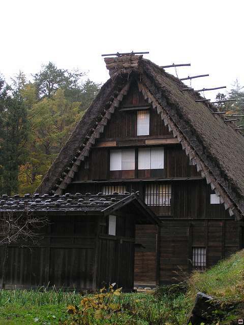 img00009.jpg
