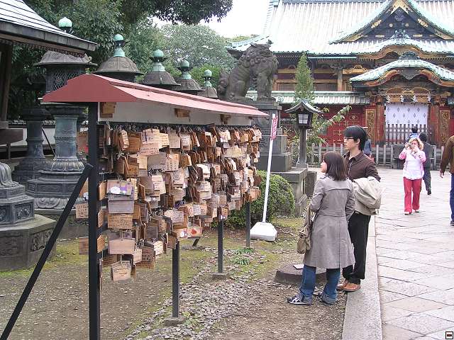 img00001.jpg