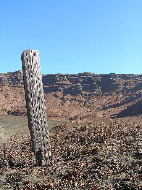 img00005.jpg
