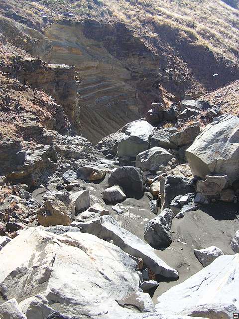 img00010.jpg